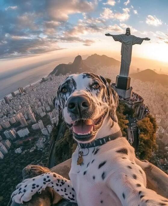 Apartamento Lindo Charmoso Ao Lado Posto 9 Praia Ipanema *